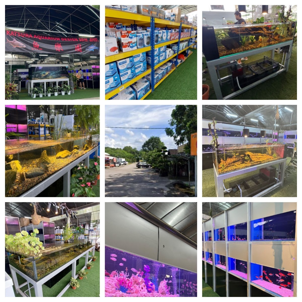 🐬新山桂水族设计私人有限公司🐬  店名：🐬新山KATSURA AQUARIUM DESIGN SDN. BHD🐬