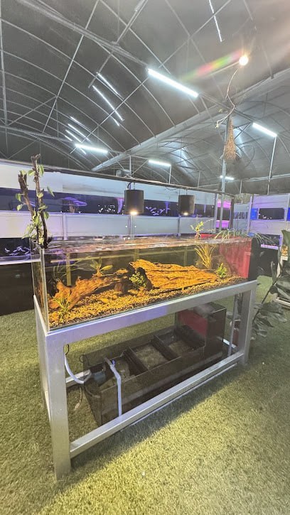 🐬新山桂水族设计私人有限公司🐬 店名:🐬新山KATSURA AQUARIUM DESIGN SDN. BHD🐬 · Menu images