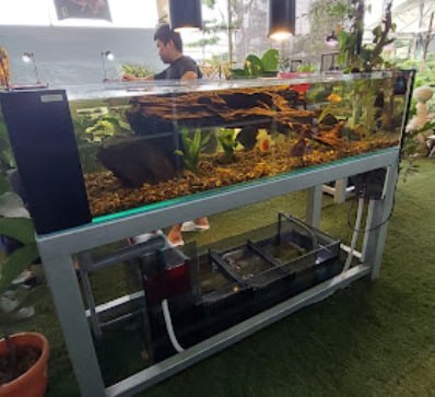 🐬新山桂水族设计私人有限公司🐬 店名:🐬新山KATSURA AQUARIUM DESIGN SDN. BHD🐬 · Menu images