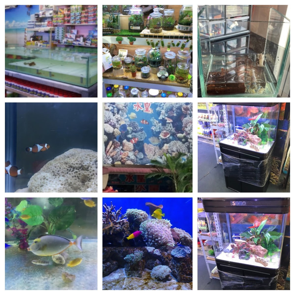 🐬 新山水皇水族馆 🐬