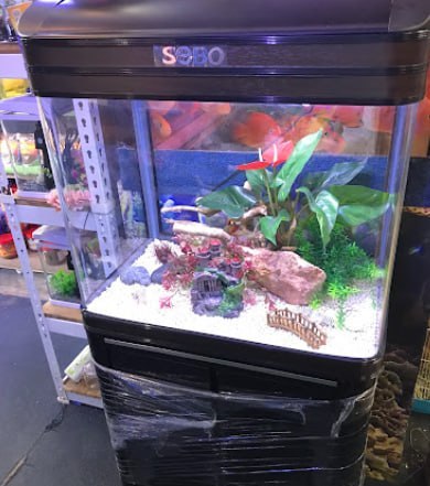 🐬 新山水皇水族馆 🐬 · Menu images