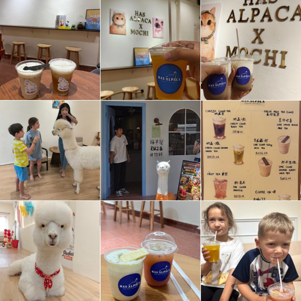🍵马六甲Pawfect Haus🍵