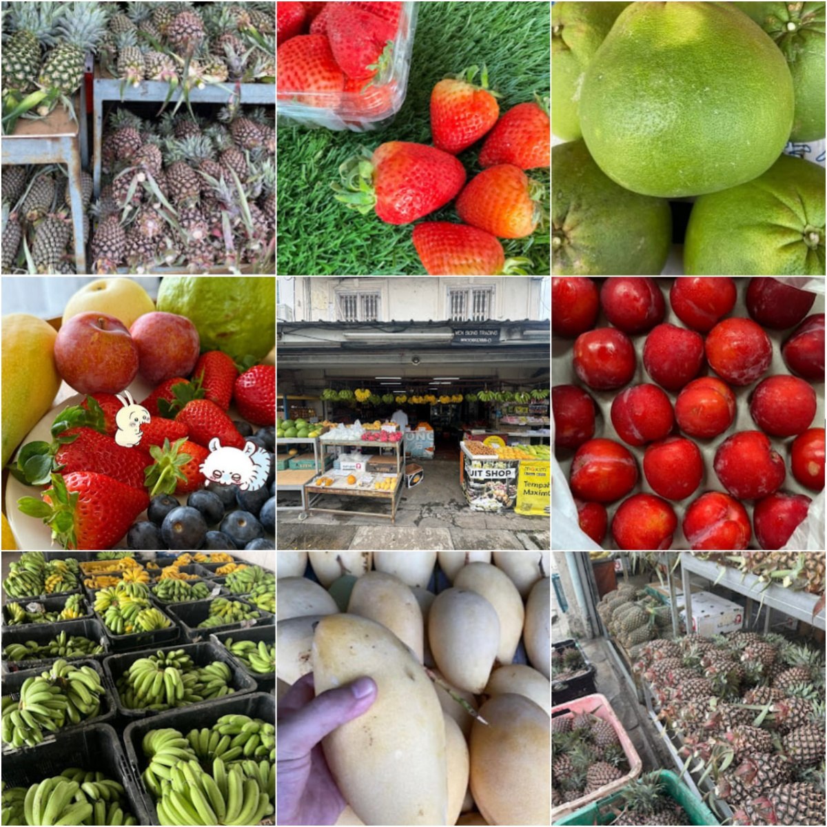 🍉马六甲WenSiong Wholesale Fresh Fruits Trading Melaka🍉