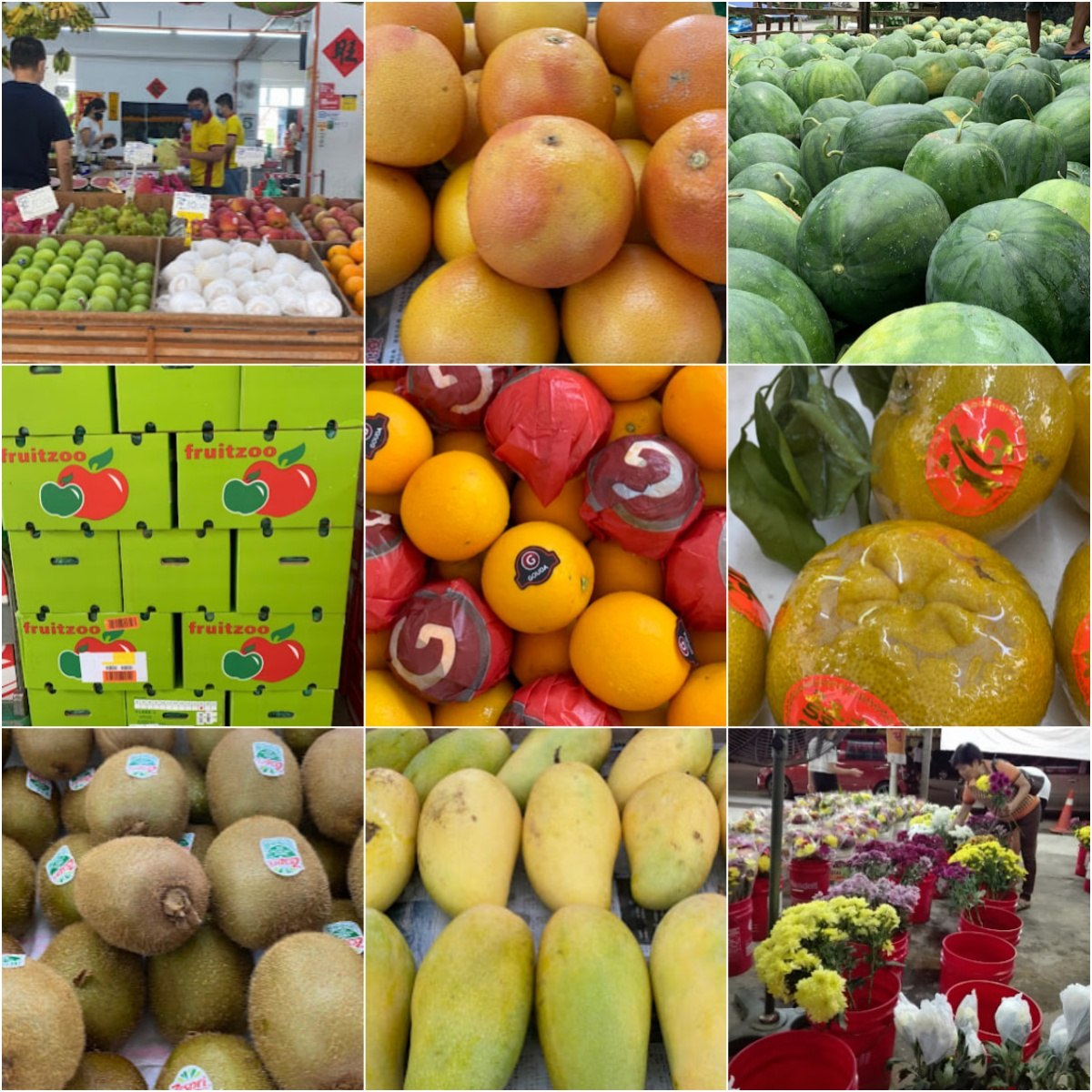🍎马六甲顺兴生果批发零售商🍎