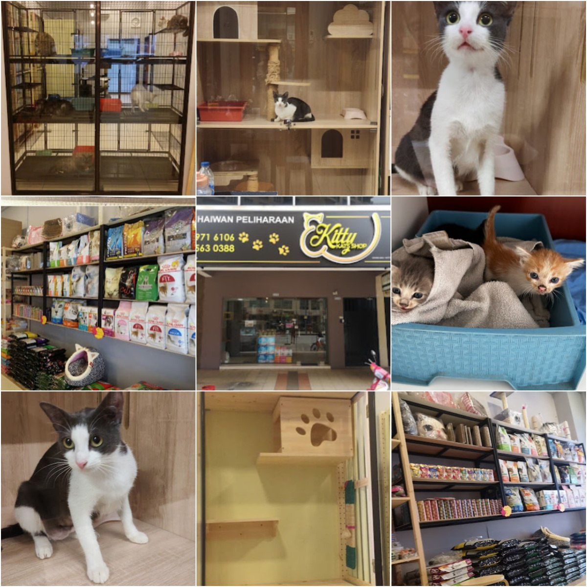 🐕吉隆坡Kitty kats shop🐕