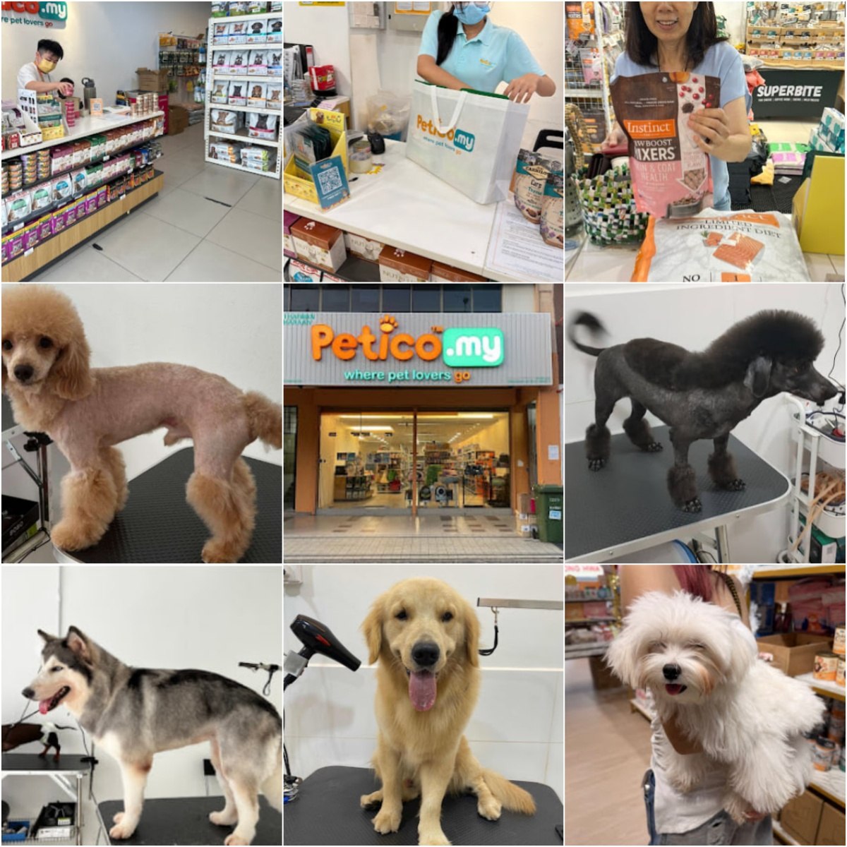 🐕‍🦺吉隆坡Petico.my Pet Shop & Grooming | Kuchai Lama🐕‍🦺