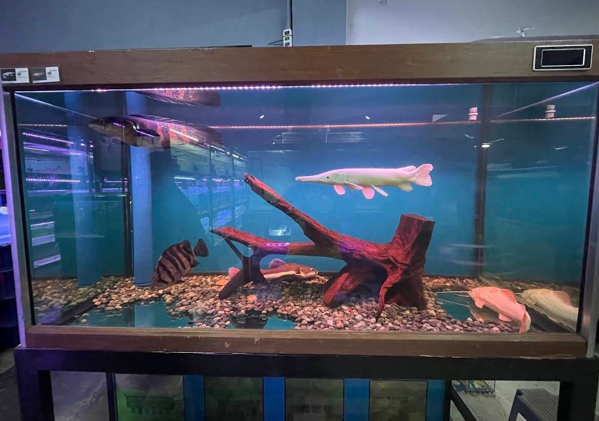 🐋吉隆坡新命水族馆🐋 · Menu images