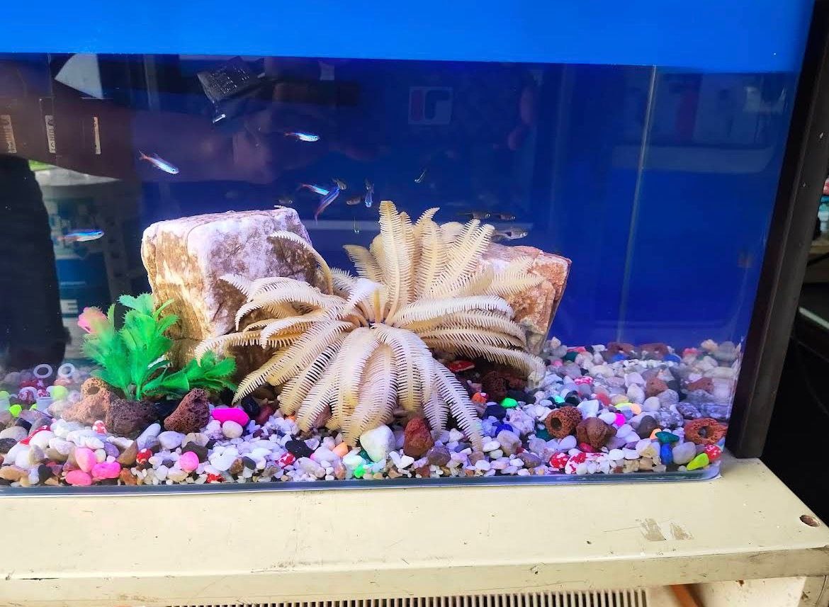 🦈吉隆坡帝国水族馆🦈 · Menu images