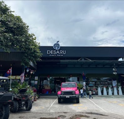 🚗吉隆坡麦程旅游租车🚗