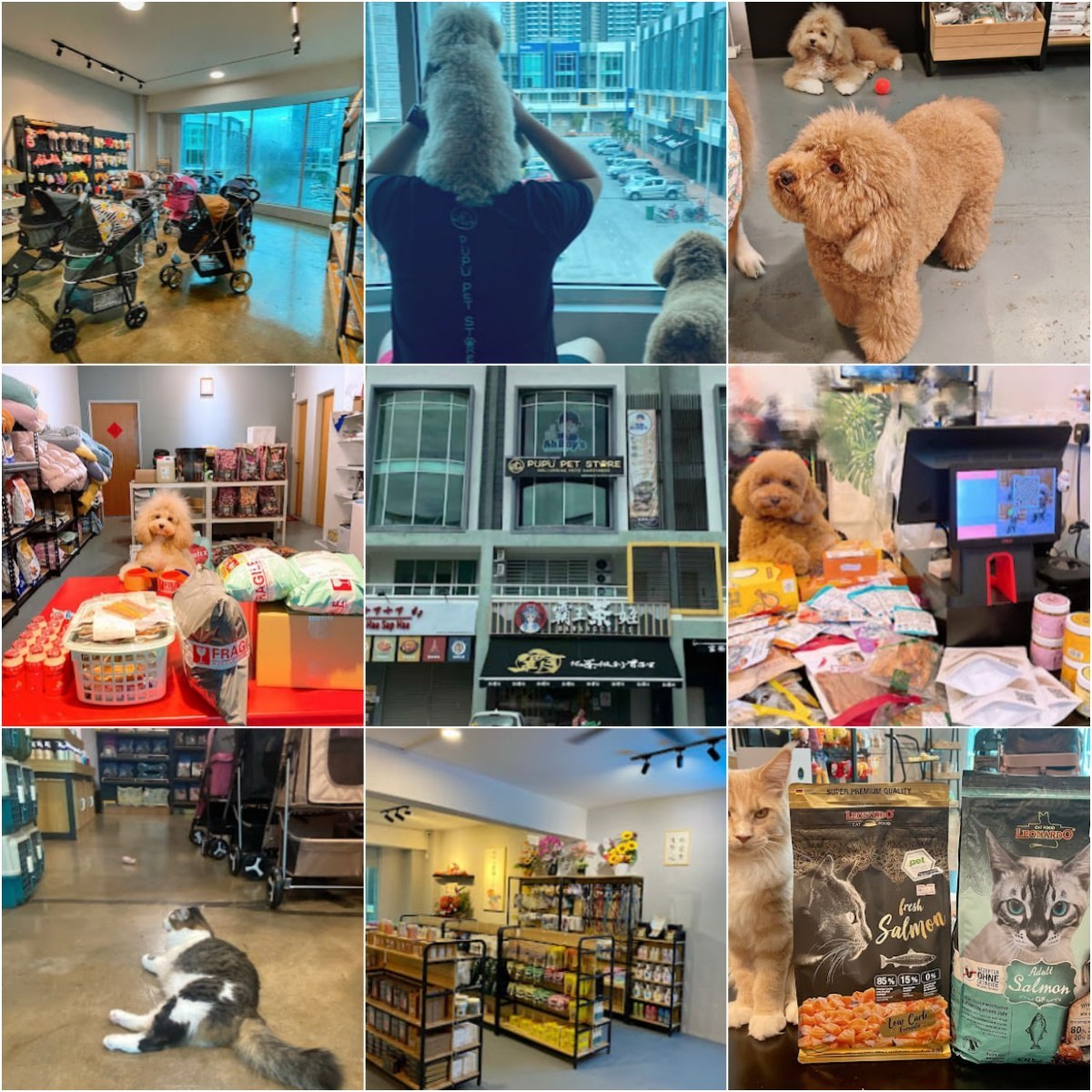 🐕马六甲Pupu Pet Store🐕