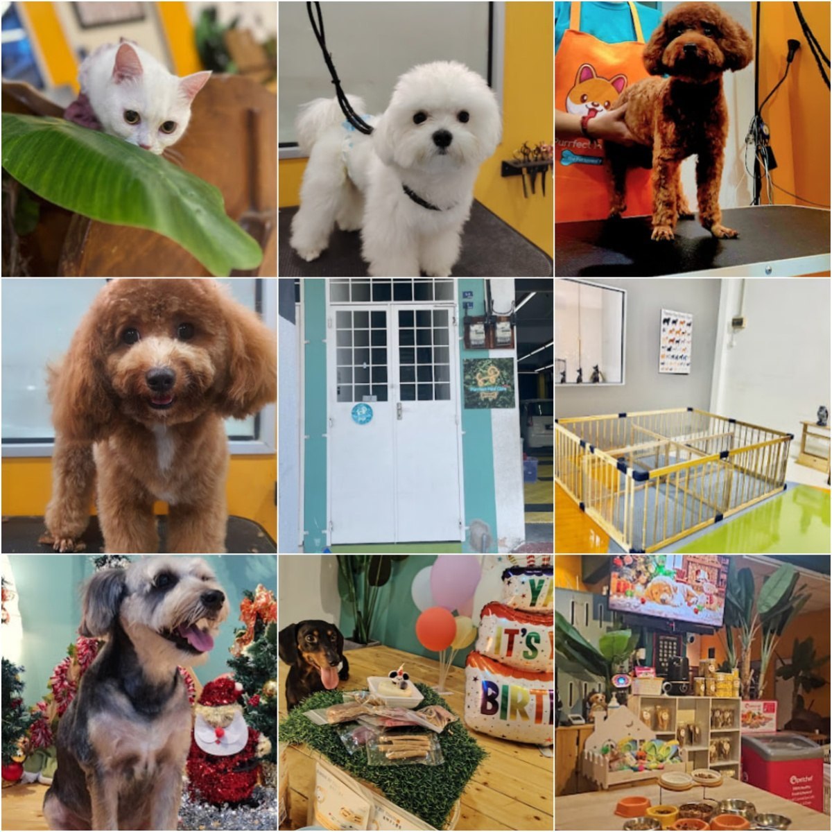 🐕🦺马六甲Purrfect Pets Care Melaka🐕🦺 · Menu images