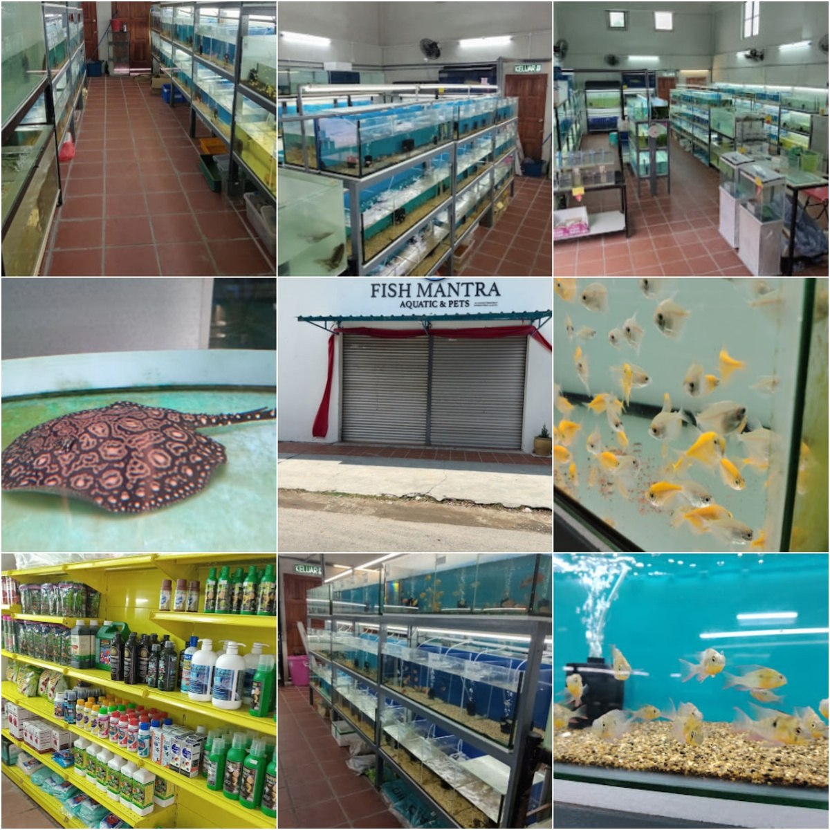 🐟马六甲FISH MANTRA AQUATIC & PETS🐟 · Menu images