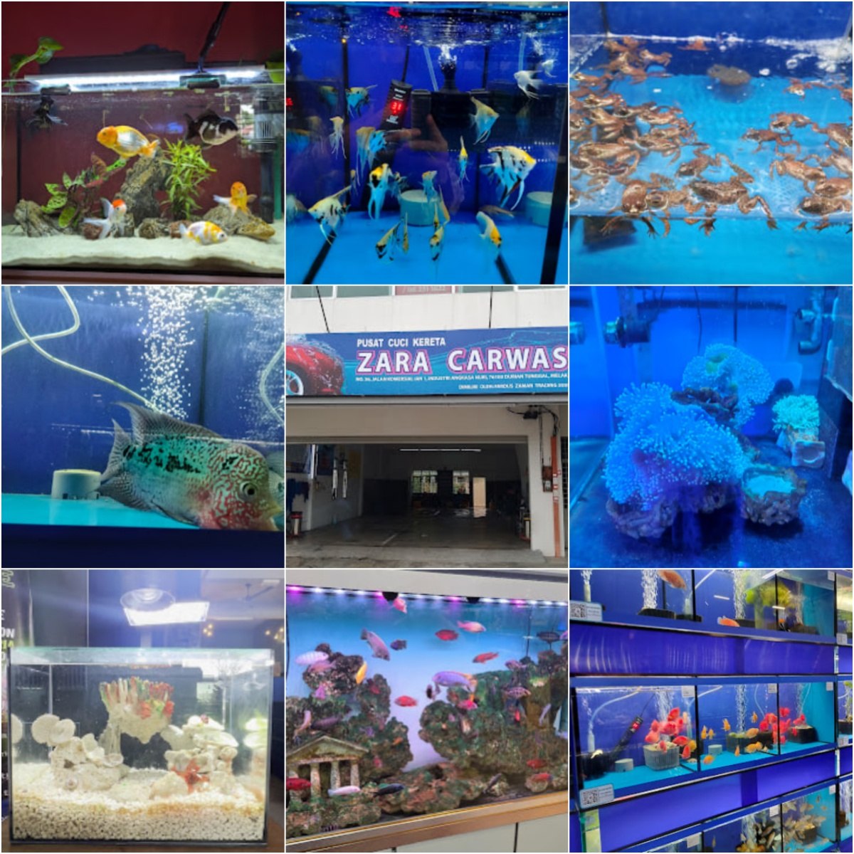 🐡马六甲Nexera Aqua World 🐡 · Menu images