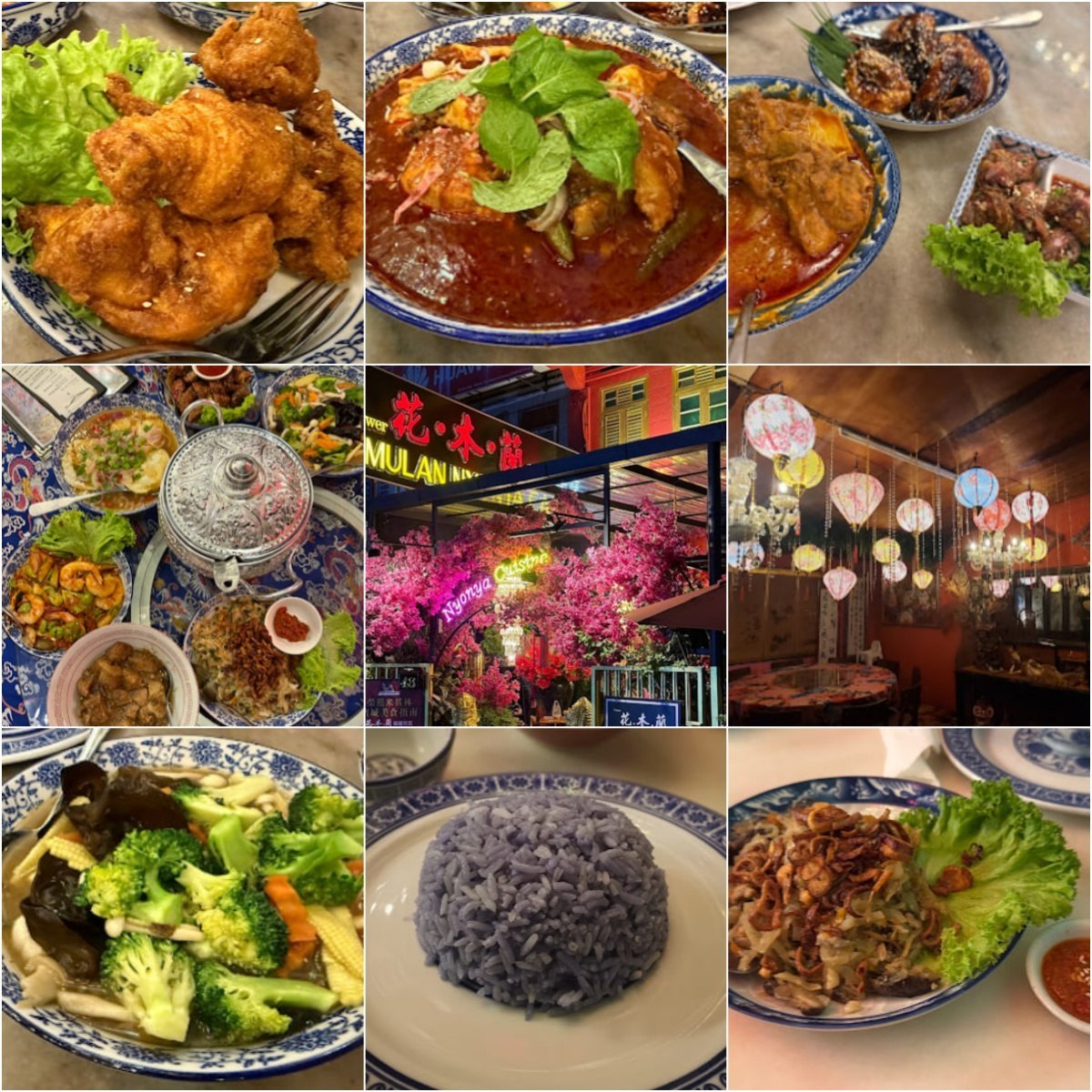 🍝槟城花木蘭娘惹花藝🍝