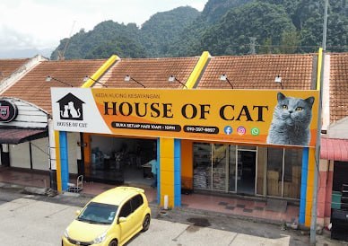 🐕怡保HOUSE OF CAT Perak🐕
