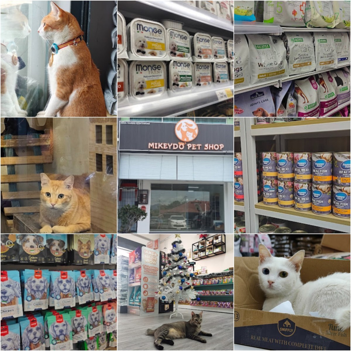 🦮怡保Mikeydo pet stop enterprise🦮
