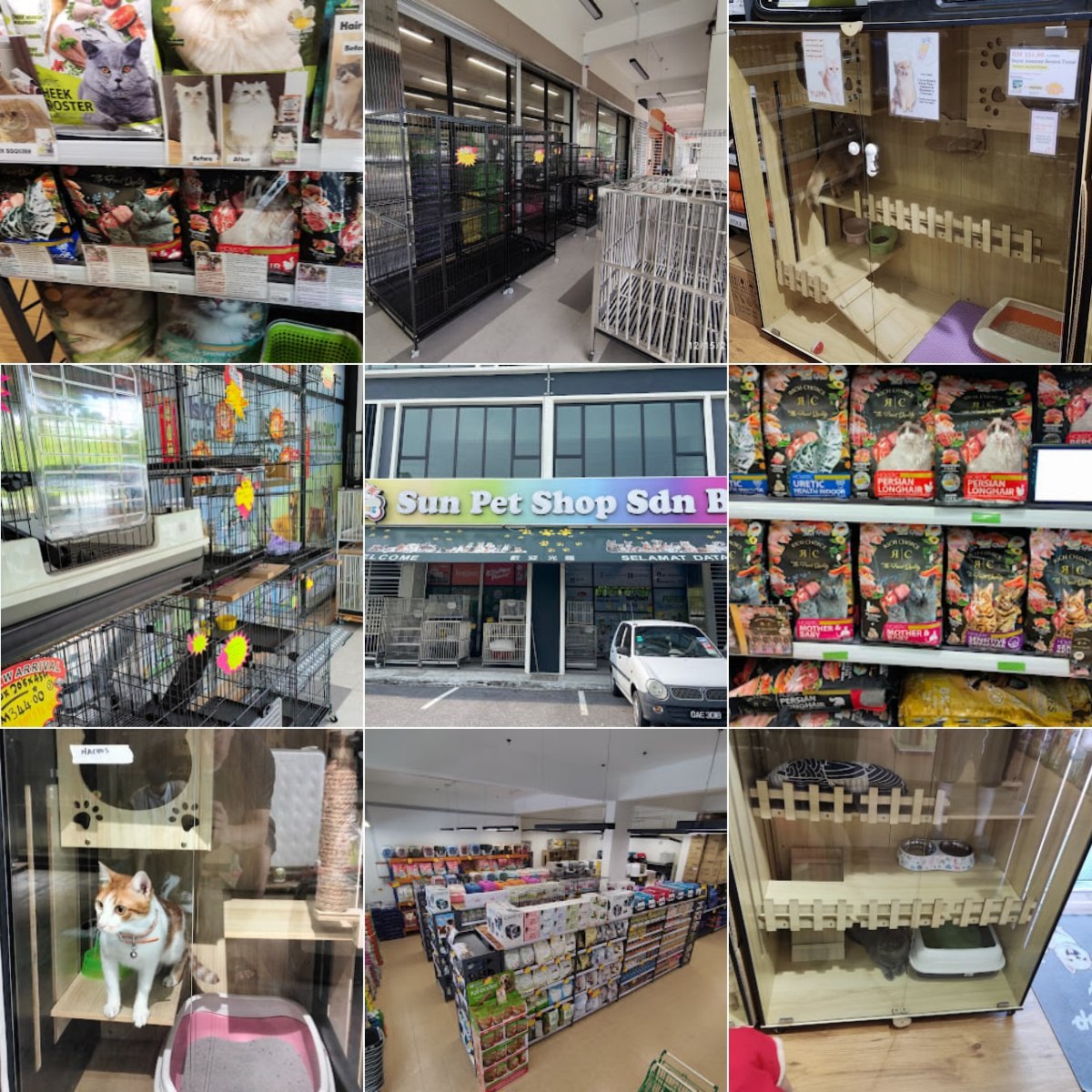 🐾古晋Sun Pet Shop Sdn Bhd🐾