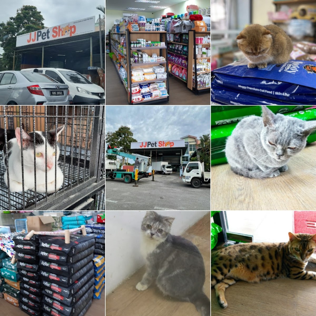 🐶古晋JJ Pet Shop Kuching @MJC Batu Kawa🐶