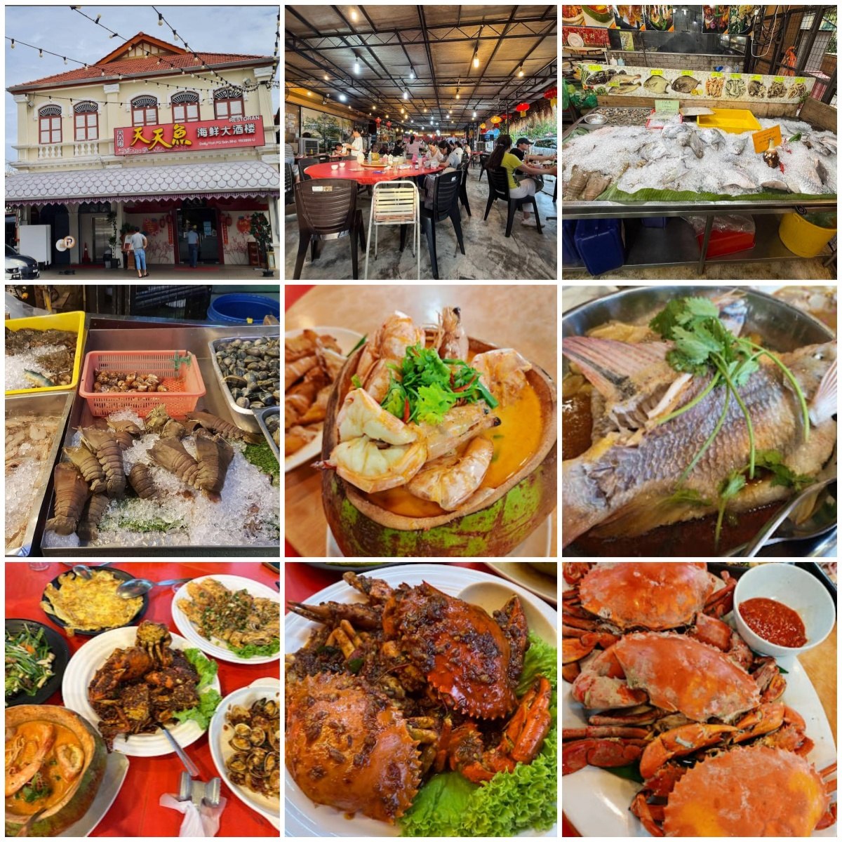 槟城大树下海鲜饭店