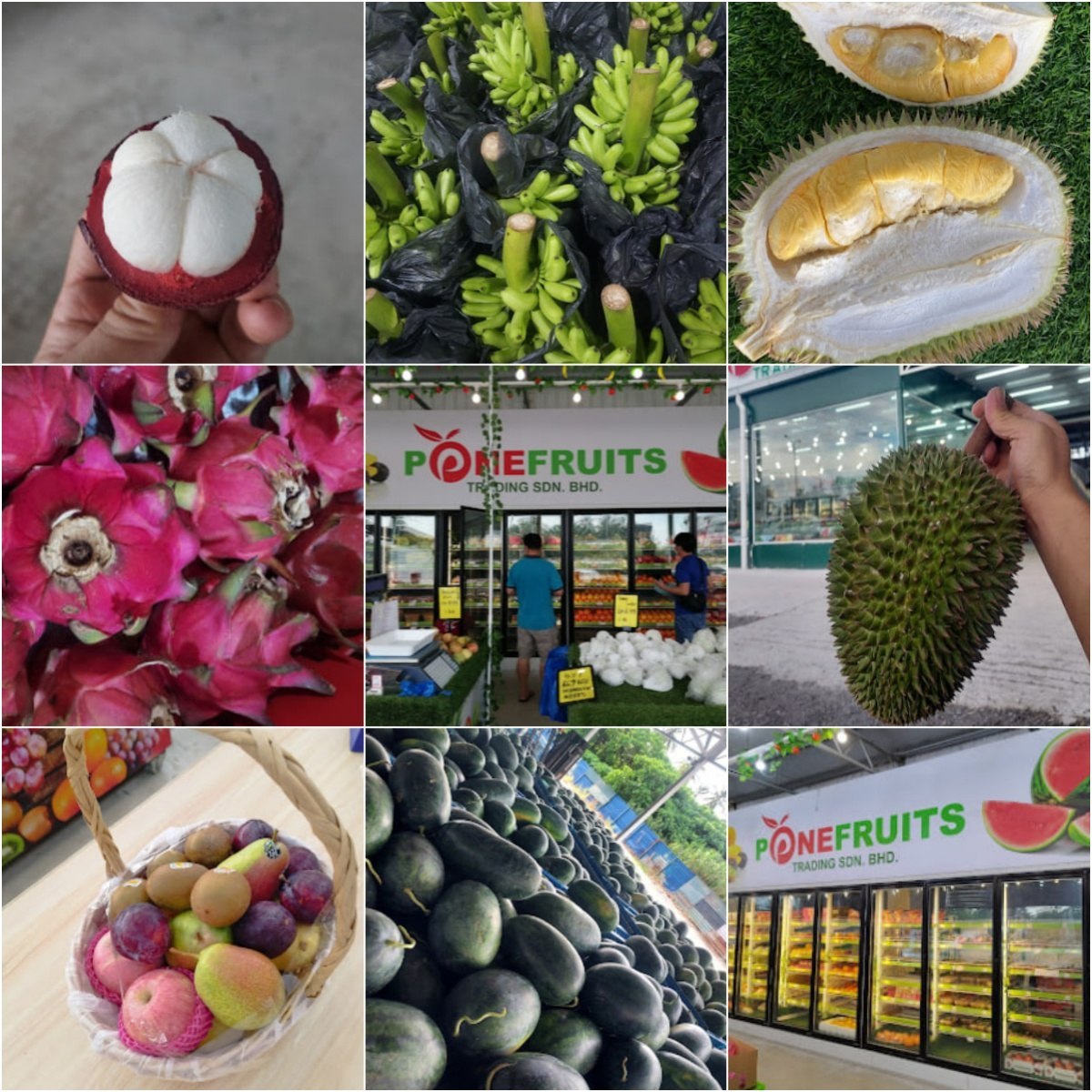 🍊槟城P ONE FRUITS TRADING SDN BHD🍊