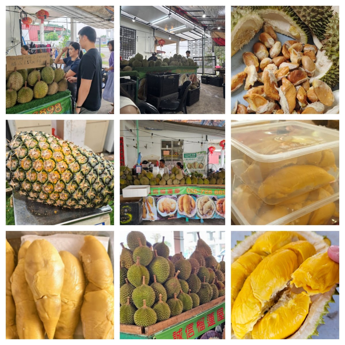 🍈新山诚信榴莲屋🍈