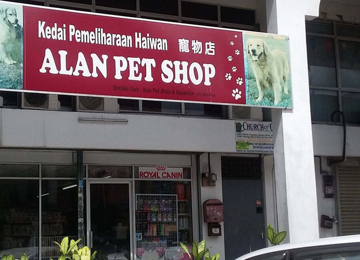 🐾槟城艾伦宠物店🐾