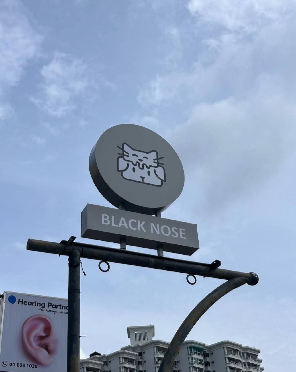 🐶槟城黑鼻宠物🐶