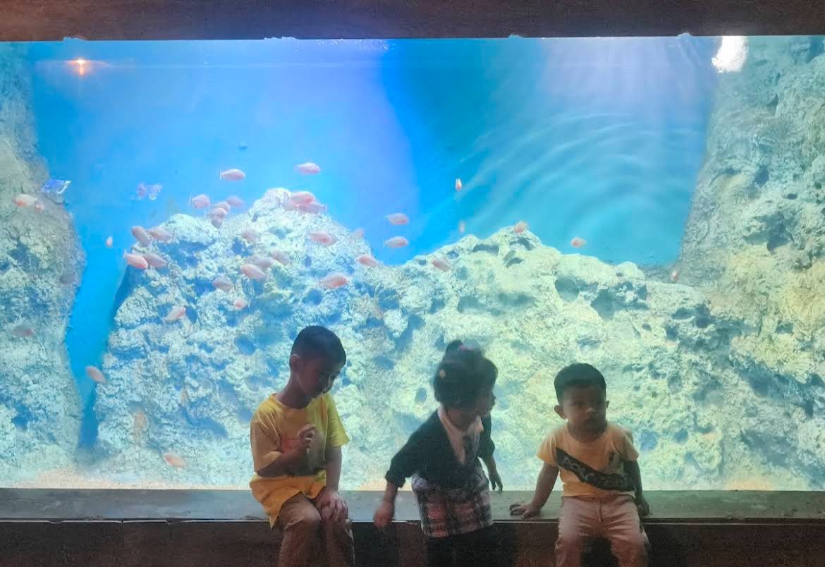 槟城The Top Boutique Aquarium · Menu images