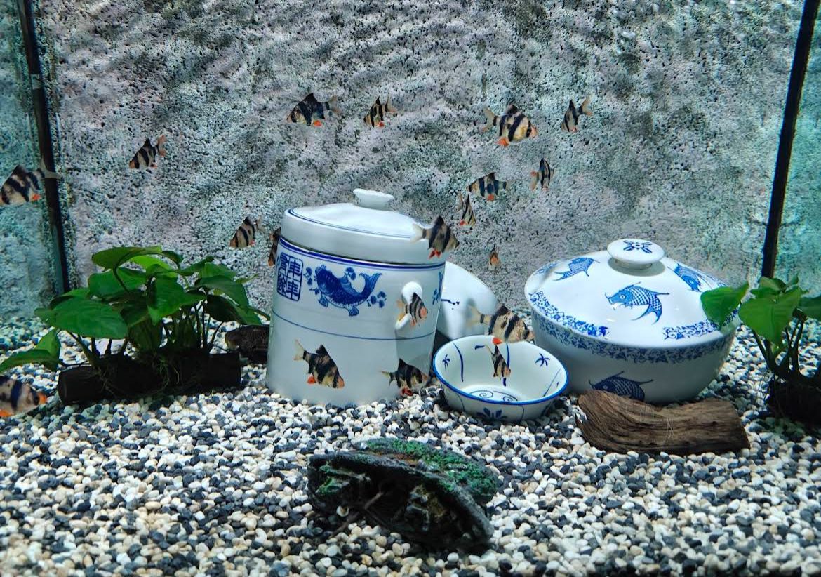 槟城The Top Boutique Aquarium · Menu images