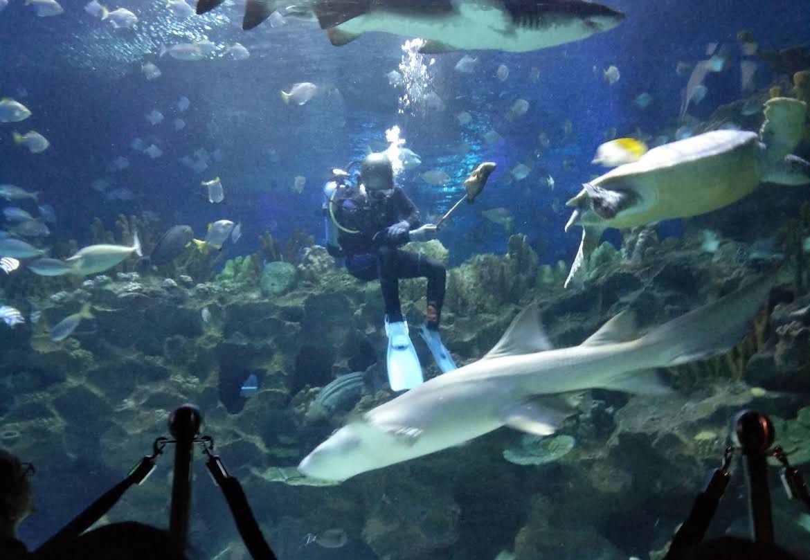 槟城中城水族馆 · Menu images