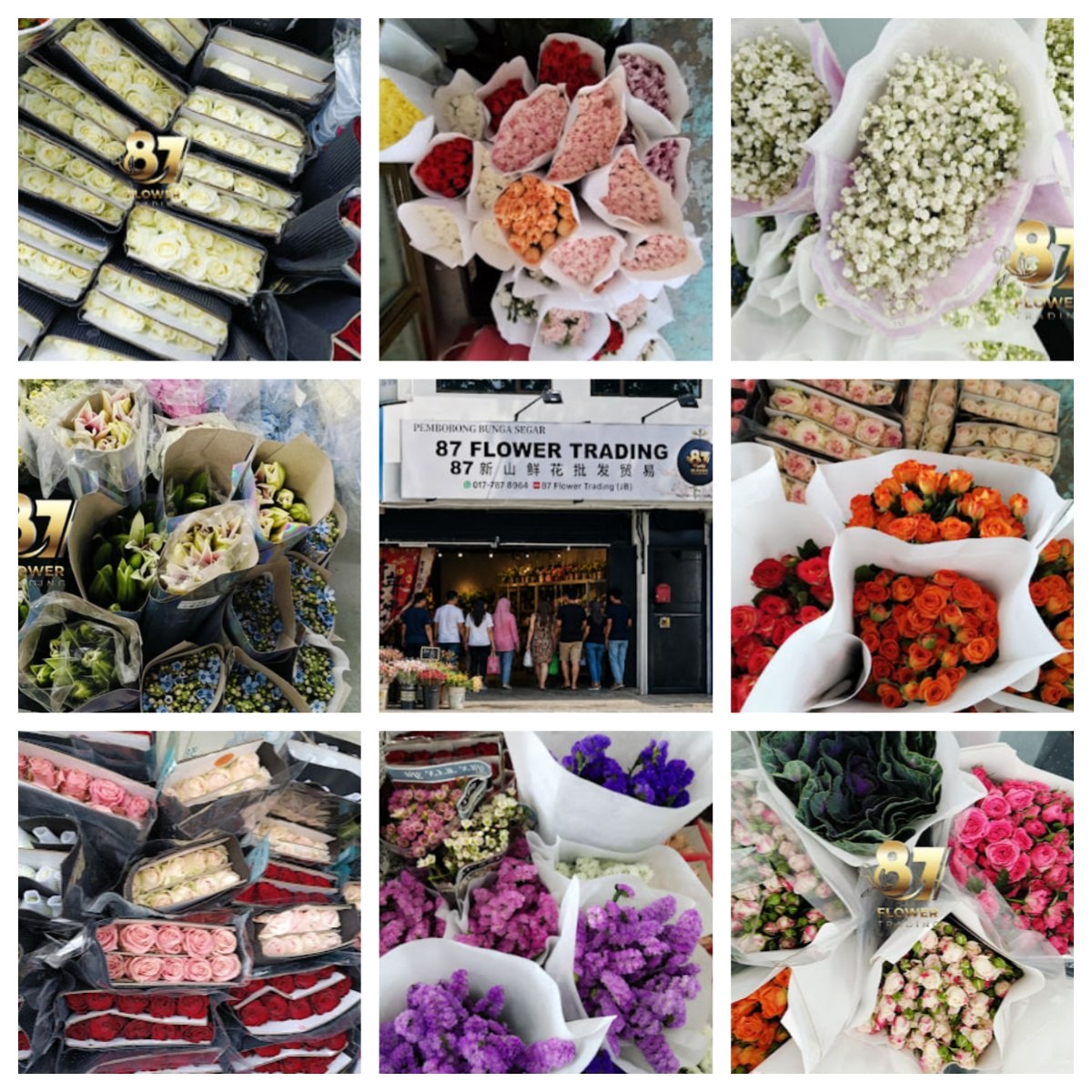🌷新山87 FLOWER TRADING (JB) 新