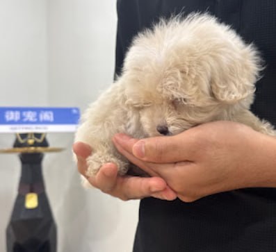 🐶新山御宠阁🐶 · Menu images