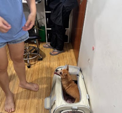 🐶新山非常重要宠物店🐶 · Menu images