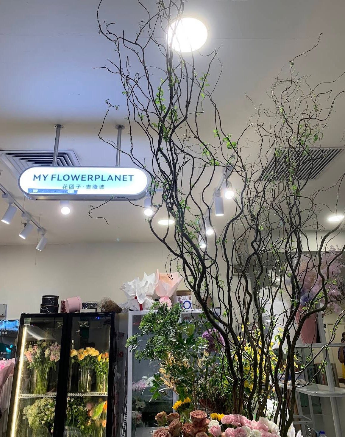 吉隆坡MyFlower Planet（Great Eastern Mall）