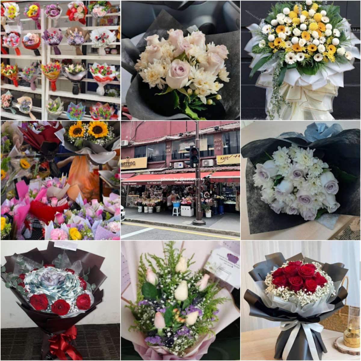 🌺吉隆坡Flower Movement🌺