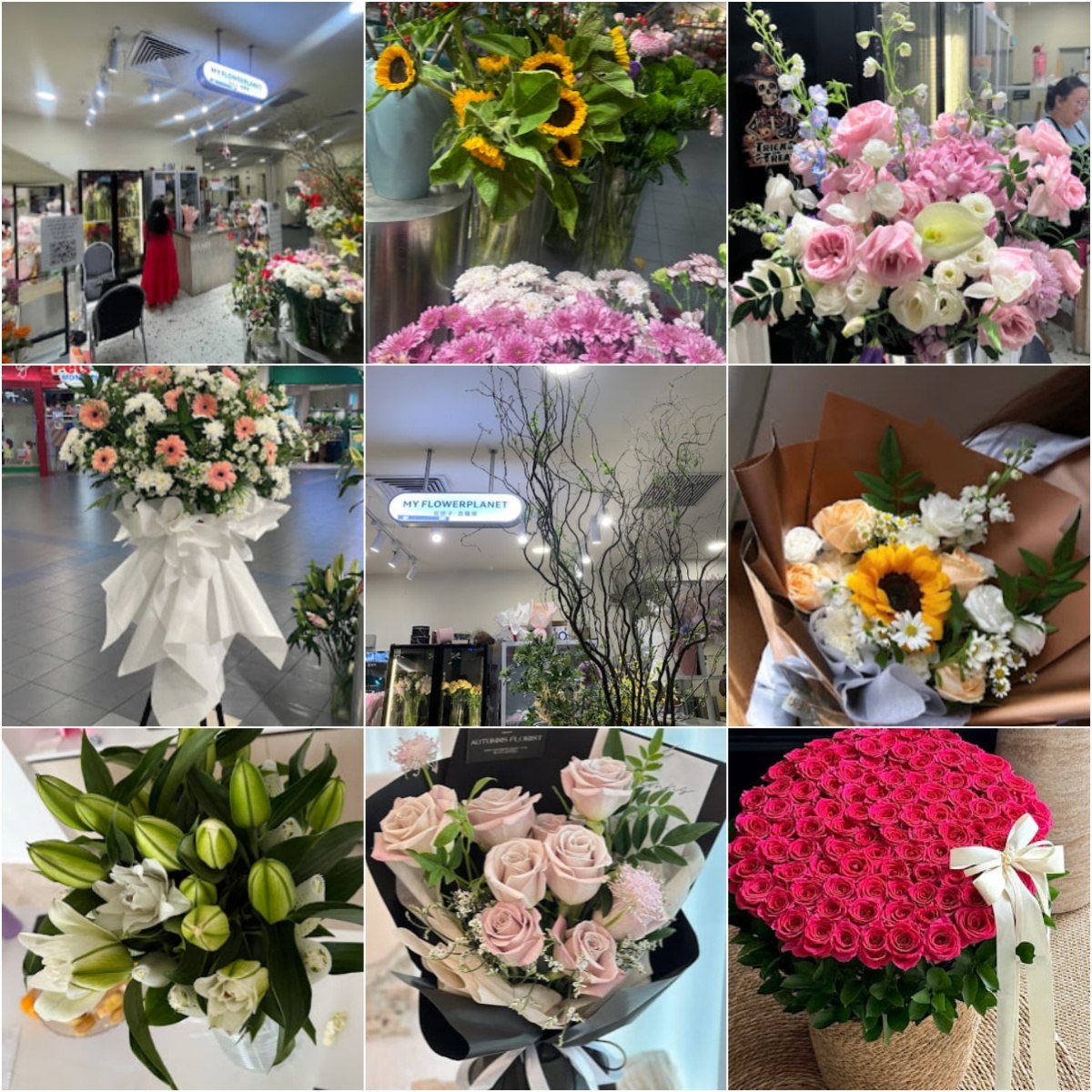 🌻吉隆坡MyFlower Planet（Great Eastern Mall）🌻